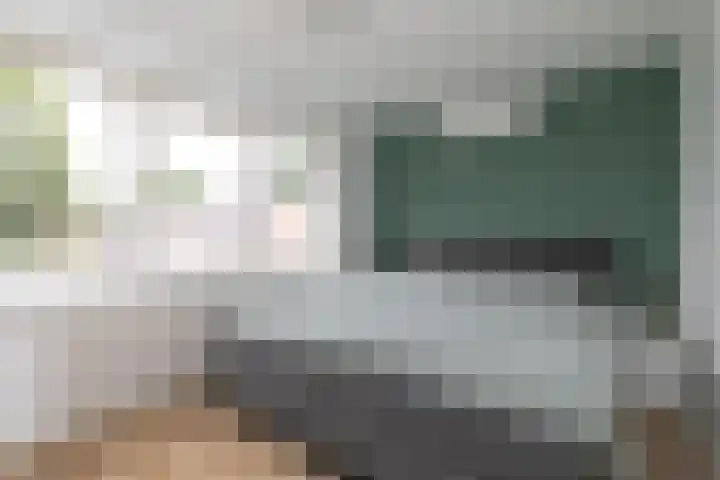 Rijvoortshoef 270 Raamsdonksveer thumbnail 37