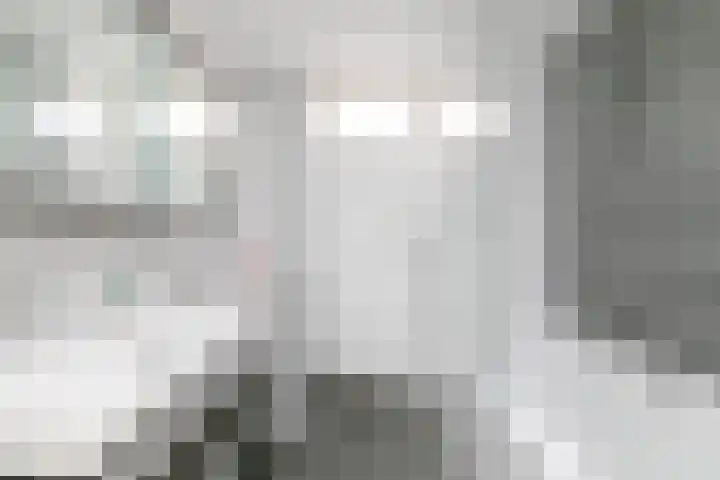 Rijvoortshoef 270 Raamsdonksveer thumbnail 4