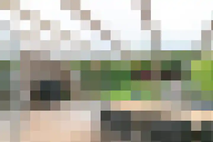 Rijvoortshoef 270 Raamsdonksveer thumbnail 44