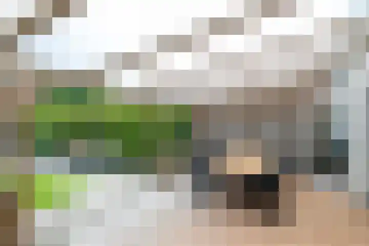 Rijvoortshoef 270 Raamsdonksveer thumbnail 45
