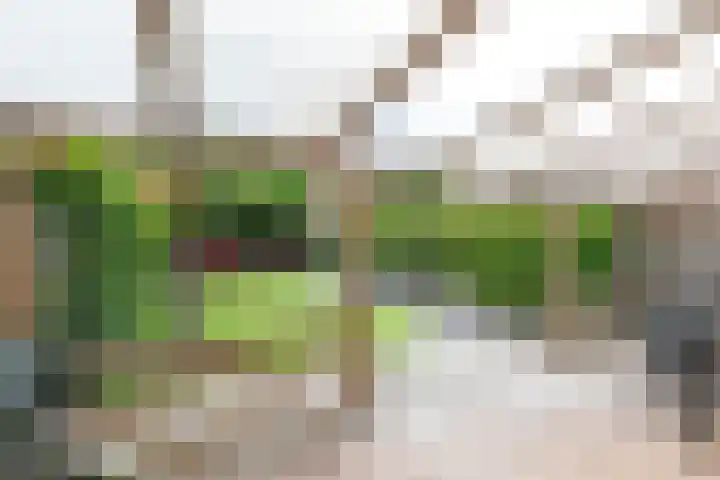 Rijvoortshoef 270 Raamsdonksveer thumbnail 46