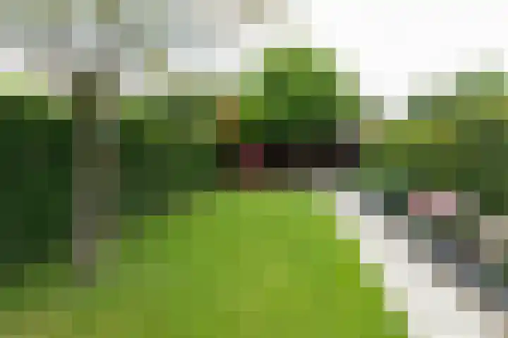 Rijvoortshoef 270 Raamsdonksveer thumbnail 47