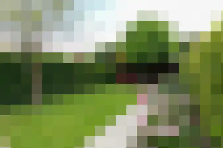 Rijvoortshoef 270 Raamsdonksveer thumbnail 48