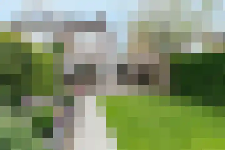 Rijvoortshoef 270 Raamsdonksveer thumbnail 49