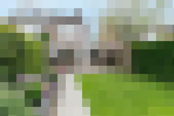 Rijvoortshoef 270 Raamsdonksveer thumbnail 5