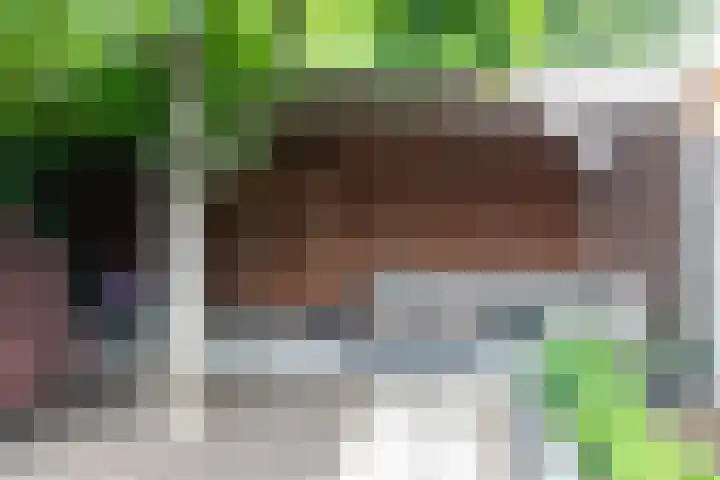 Rijvoortshoef 270 Raamsdonksveer thumbnail 50
