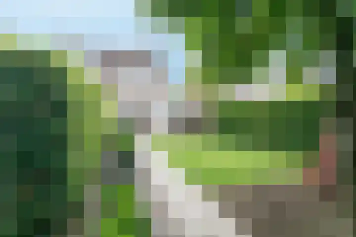 Rijvoortshoef 270 Raamsdonksveer thumbnail 52