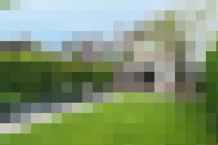 Rijvoortshoef 270 Raamsdonksveer thumbnail 53