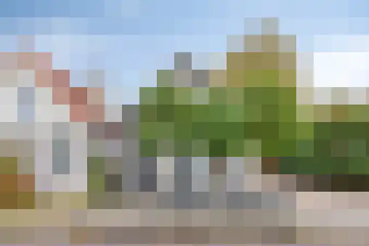 Rijweg 15 Oosterwolde thumbnail 32