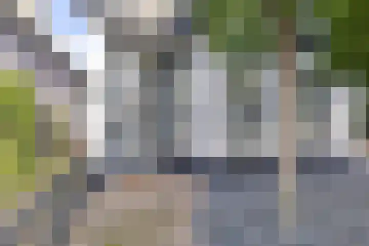 Rijweg 15 Oosterwolde thumbnail 4