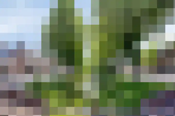 Rijweg 34 Oosterwolde thumbnail 23
