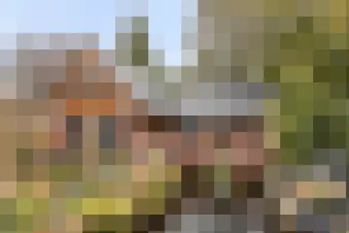 Rijweg 55 Oosterwolde thumbnail 33