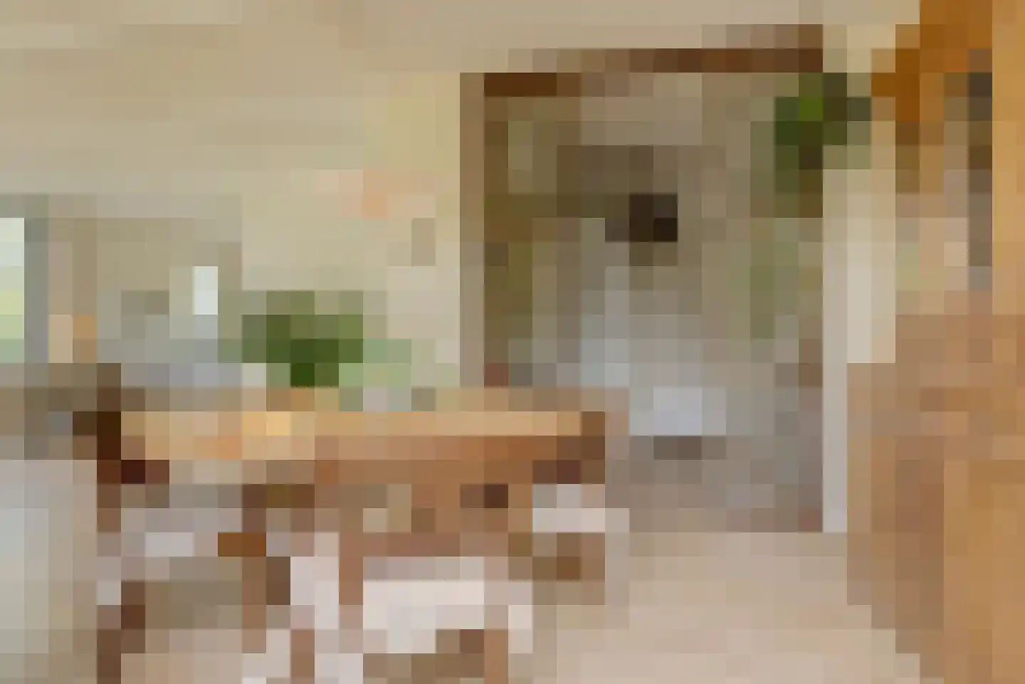 Rijzenburg 2 Elst thumbnail 12