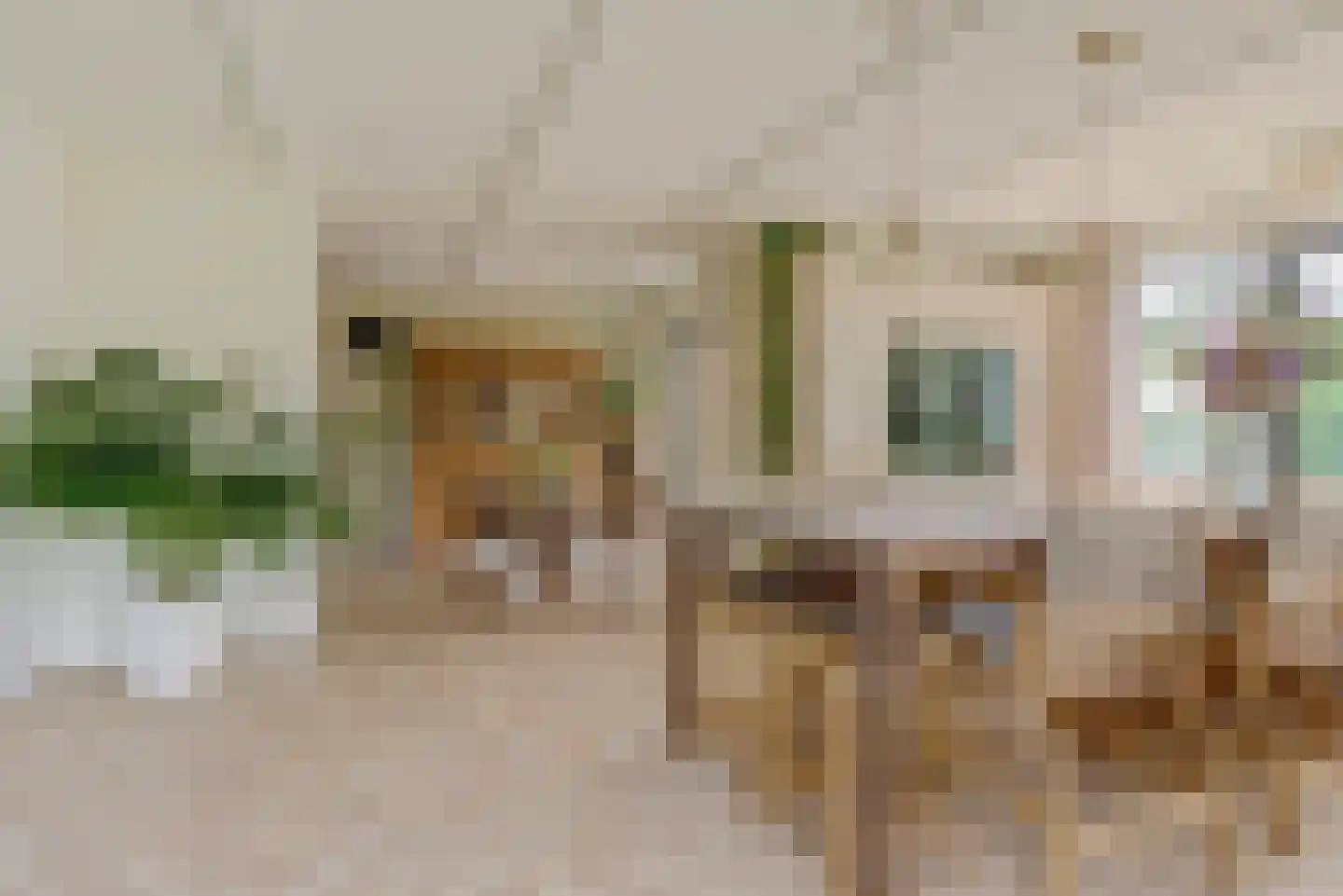 Rijzenburg 2 Elst thumbnail 13