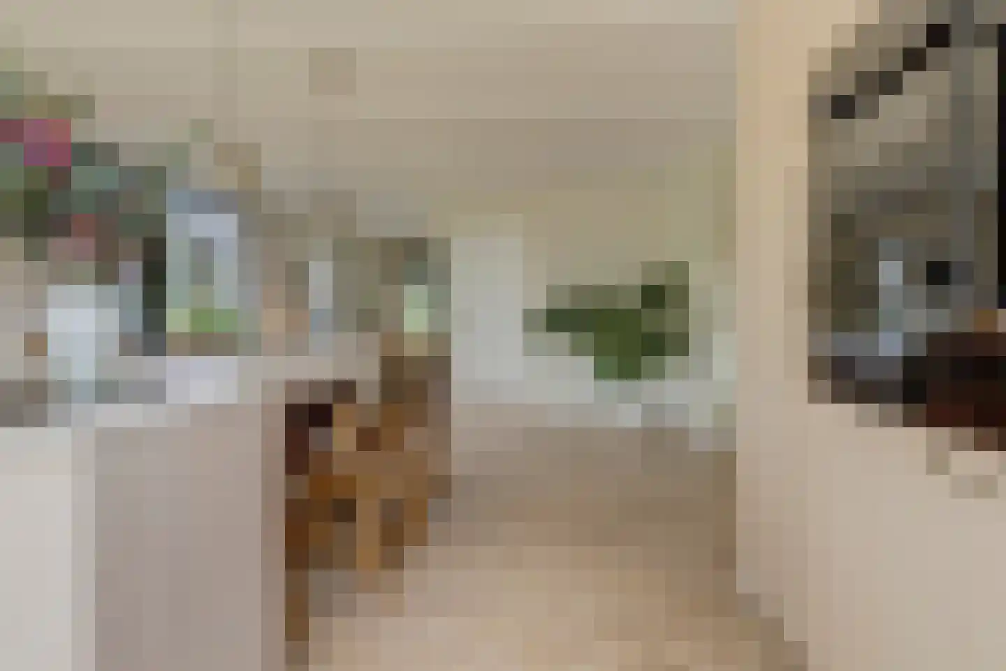 Rijzenburg 2 Elst thumbnail 18