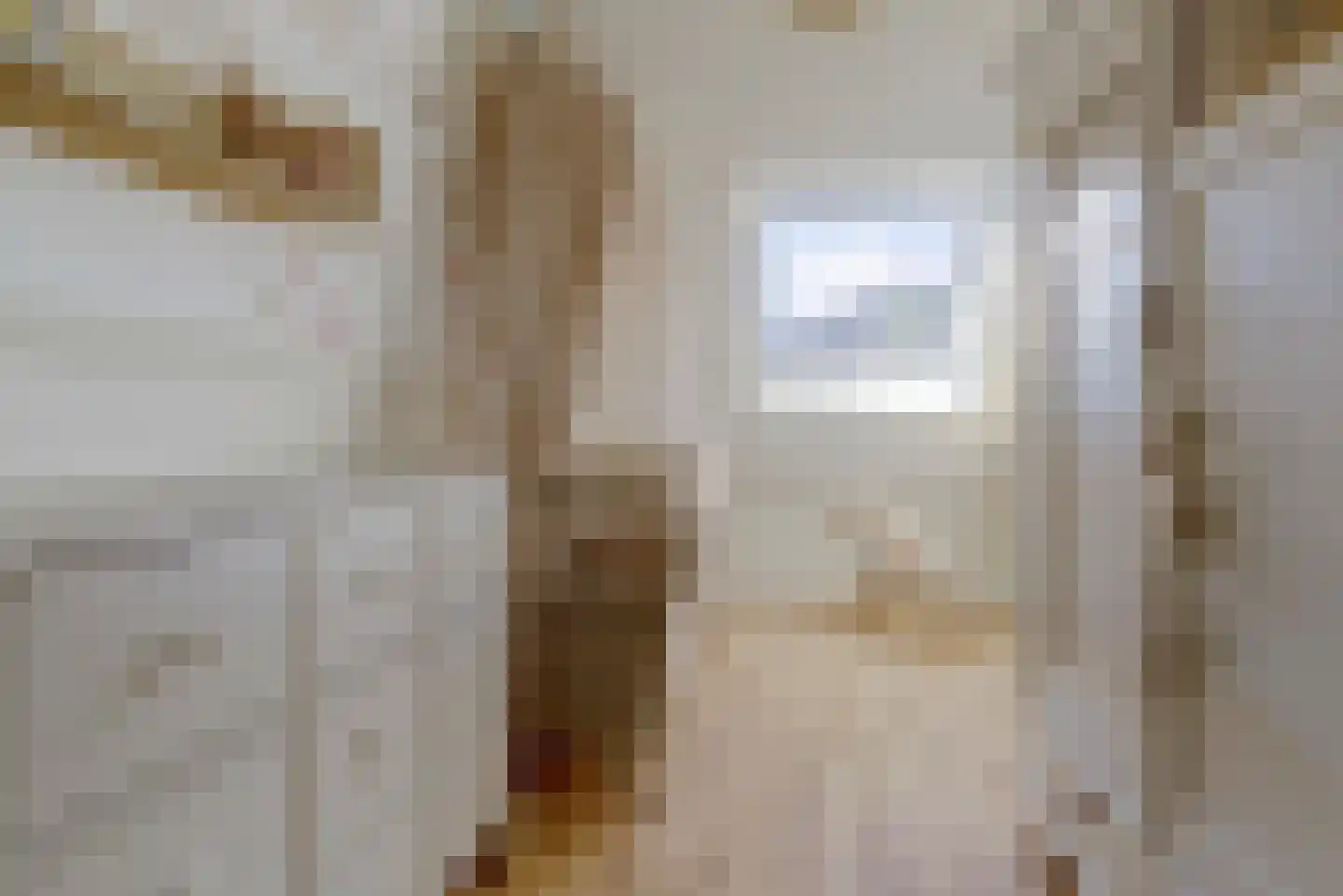 Rijzenburg 2 Elst thumbnail 28