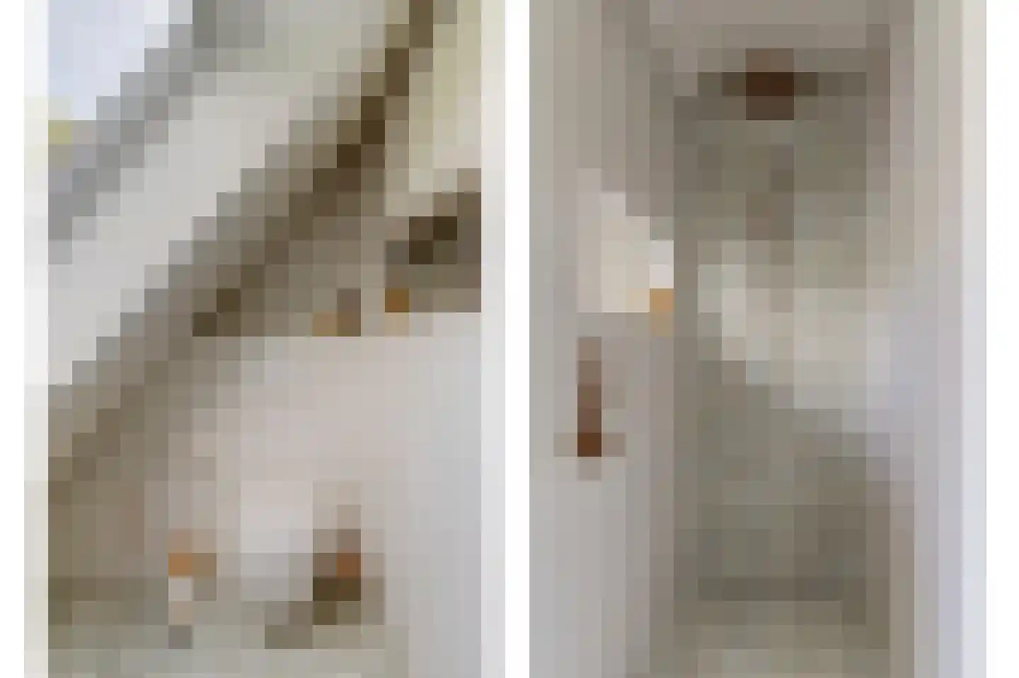 Rijzenburg 2 Elst thumbnail 35