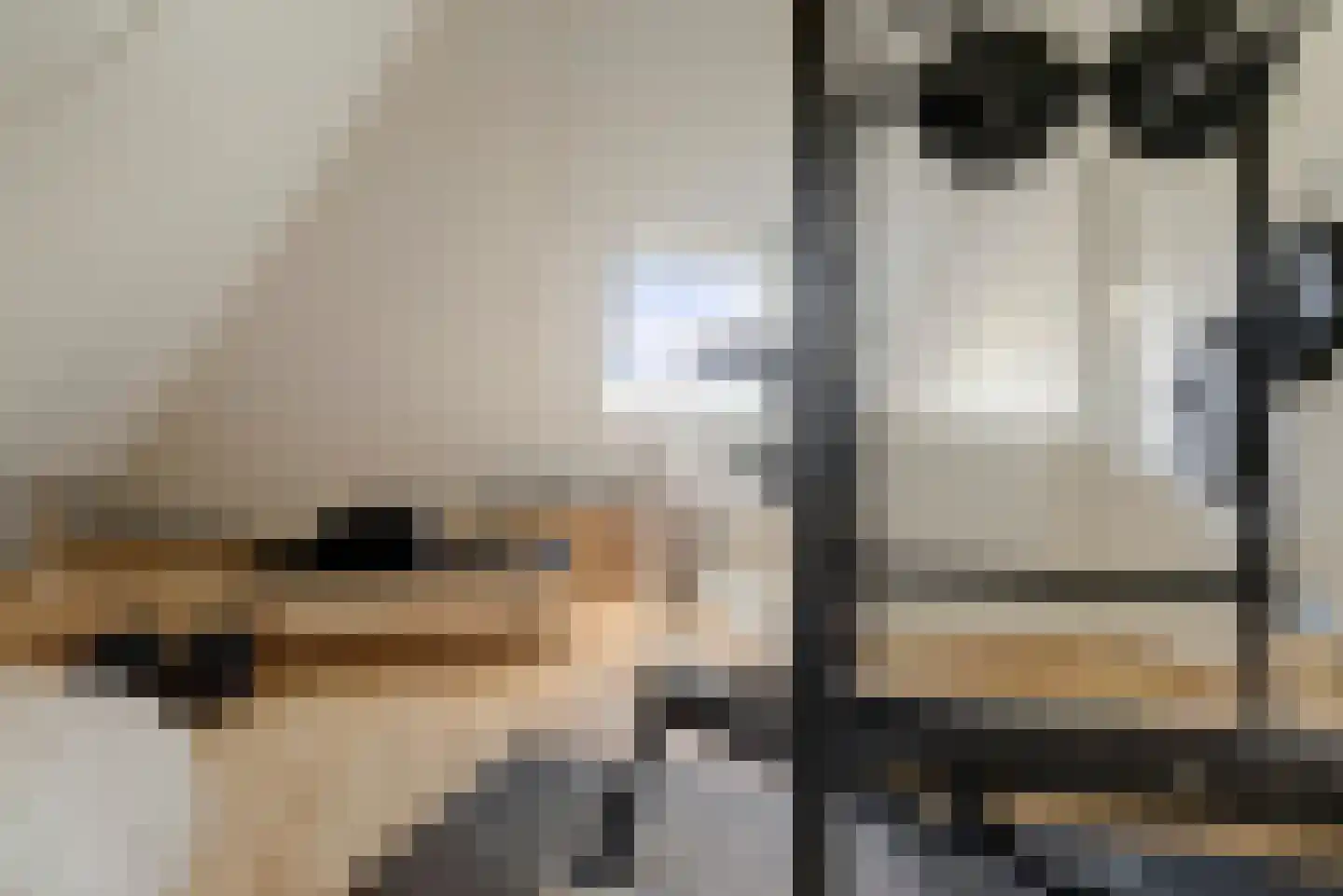 Rijzenburg 2 Elst thumbnail 36