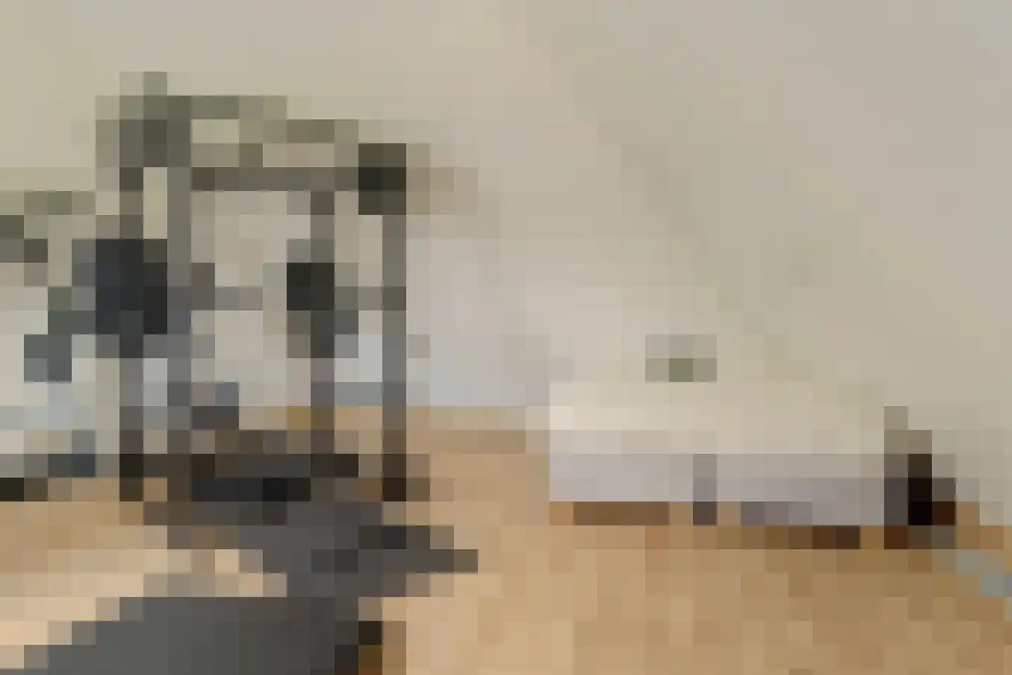 Rijzenburg 2 Elst thumbnail 37