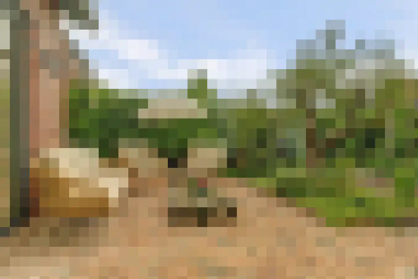 Rijzenburg 2 Elst thumbnail 39