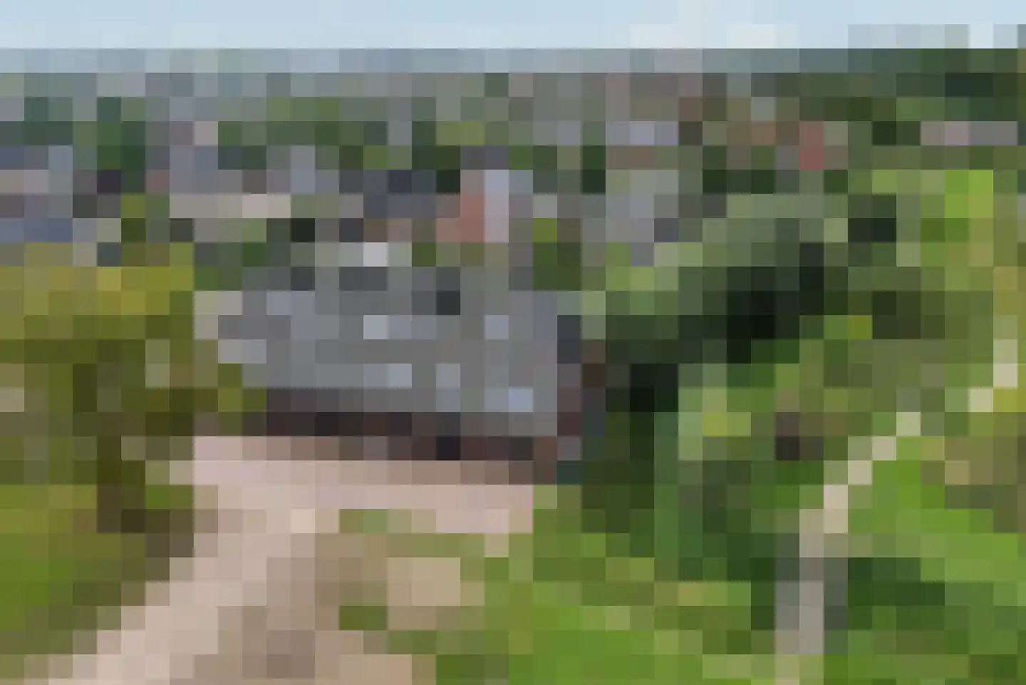 Rijzenburg 2 Elst thumbnail 4