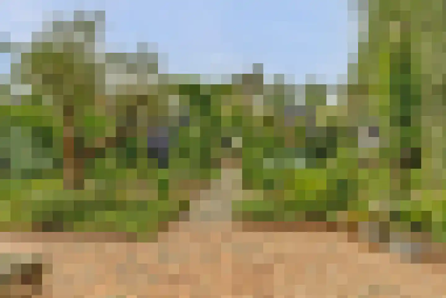 Rijzenburg 2 Elst thumbnail 42
