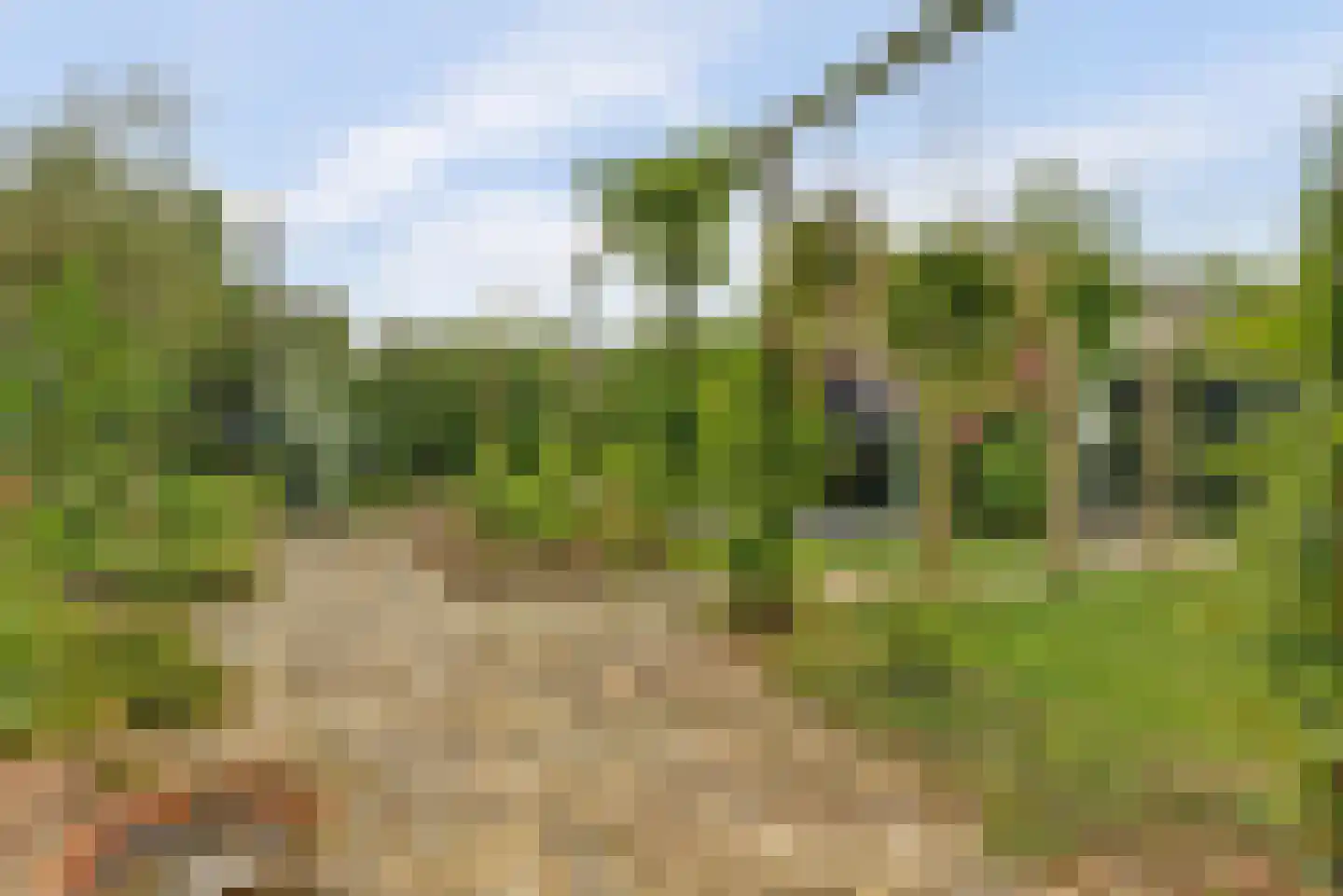 Rijzenburg 2 Elst thumbnail 43