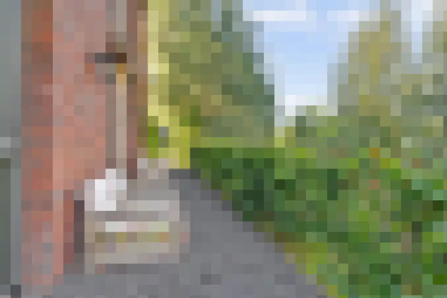 Rijzenburg 2 Elst thumbnail 48