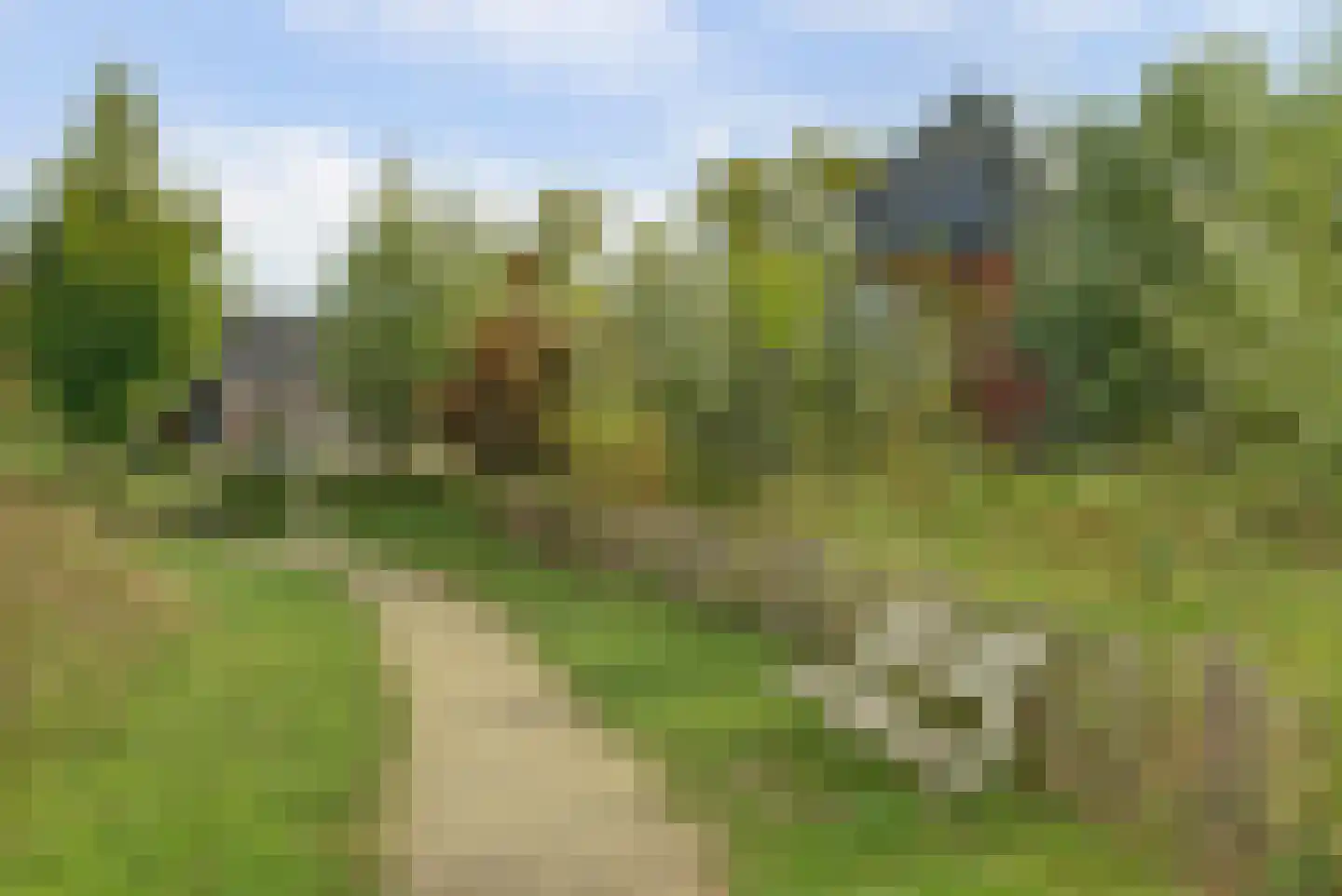 Rijzenburg 2 Elst thumbnail 49