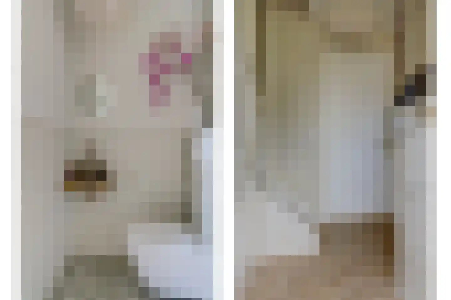 Rijzenburg 2 Elst thumbnail 6