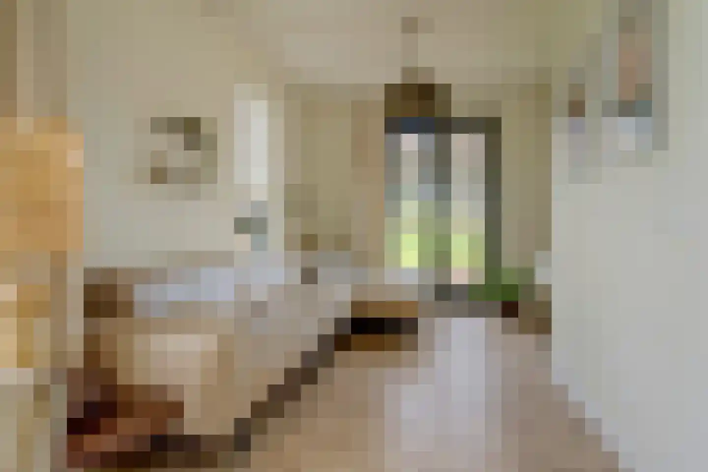 Rijzenburg 2 Elst thumbnail 8