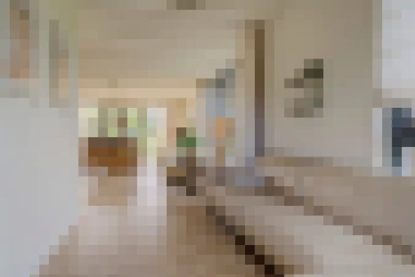 Rijzenburg 2 Elst thumbnail 9