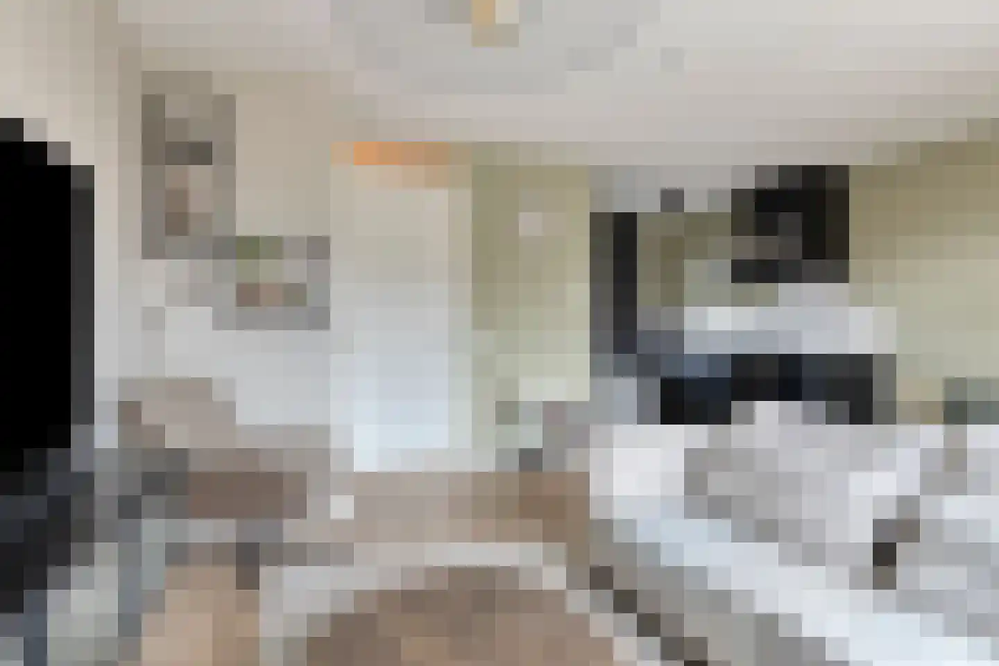 Rijzenburg 28 Elst thumbnail 12