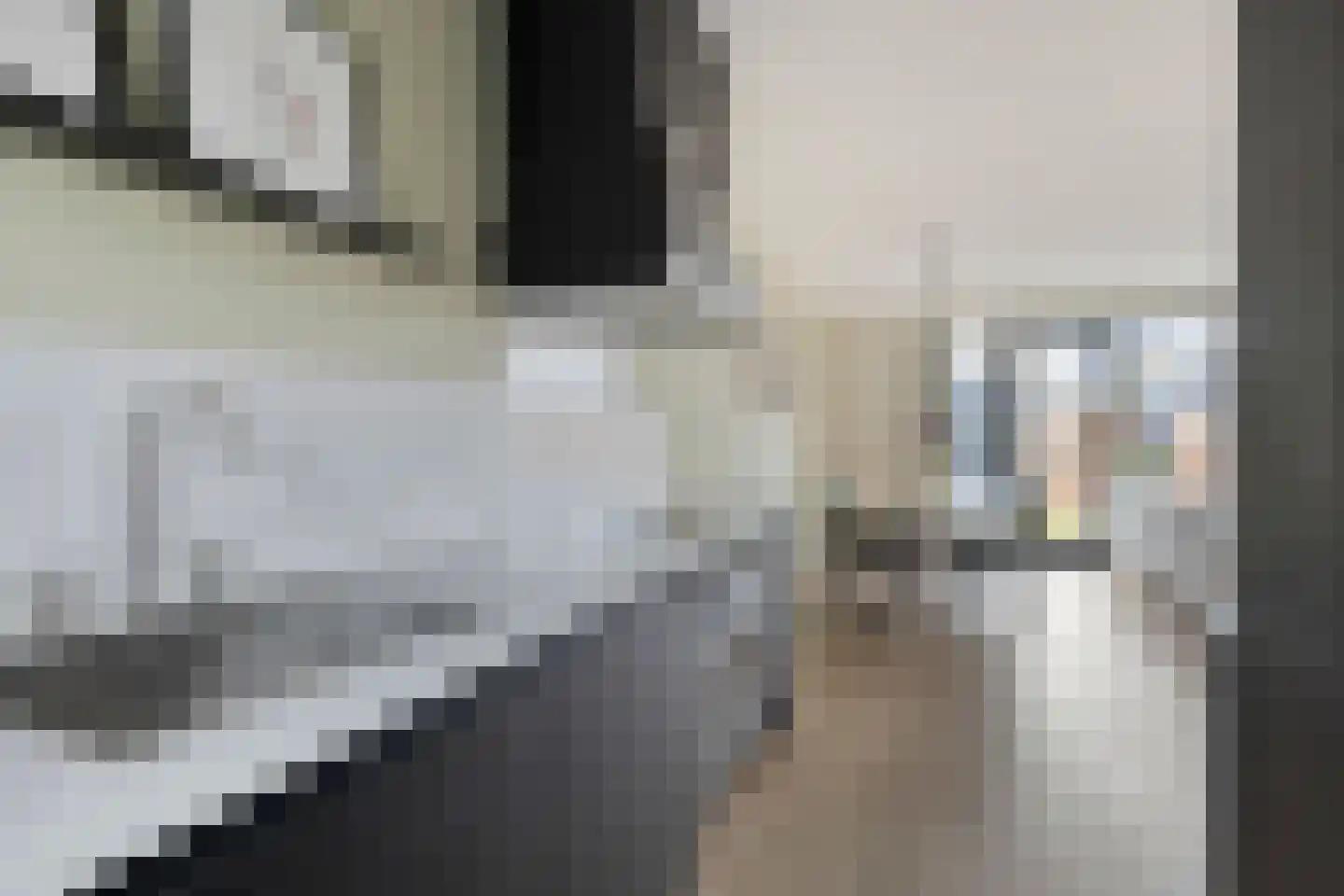 Rijzenburg 28 Elst thumbnail 17