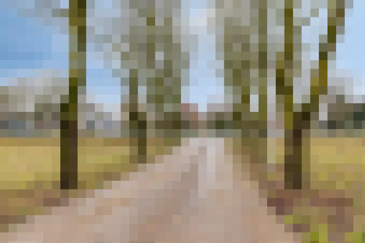 Rijzenburg 28 Elst thumbnail 41
