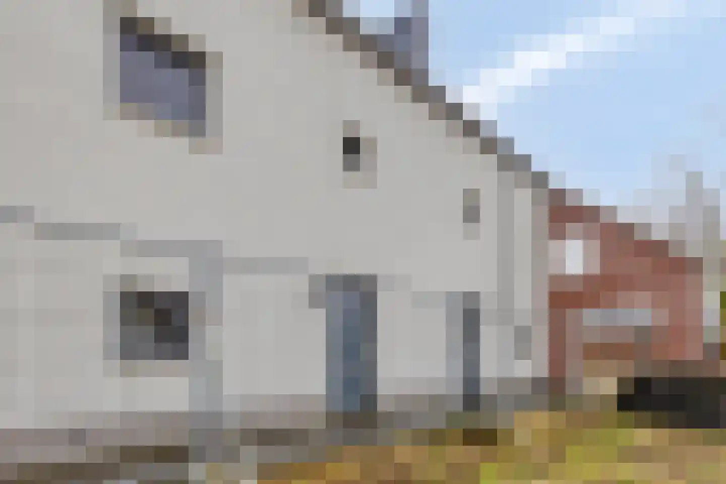 Rijzenburg 28 Elst thumbnail 5