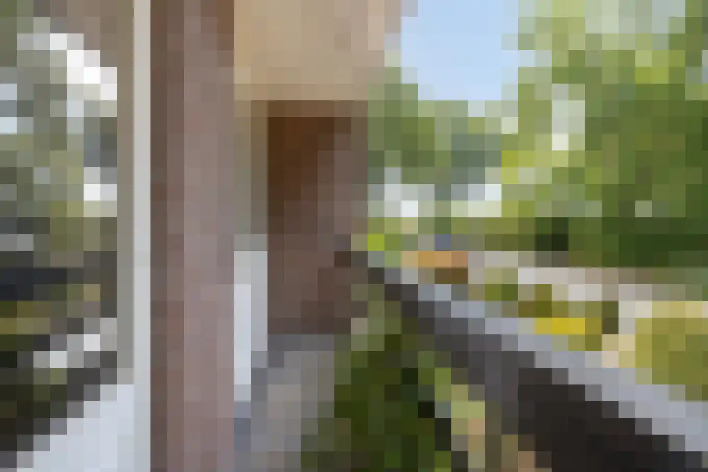 Rijzendeweg 26 Woensdrecht thumbnail 31