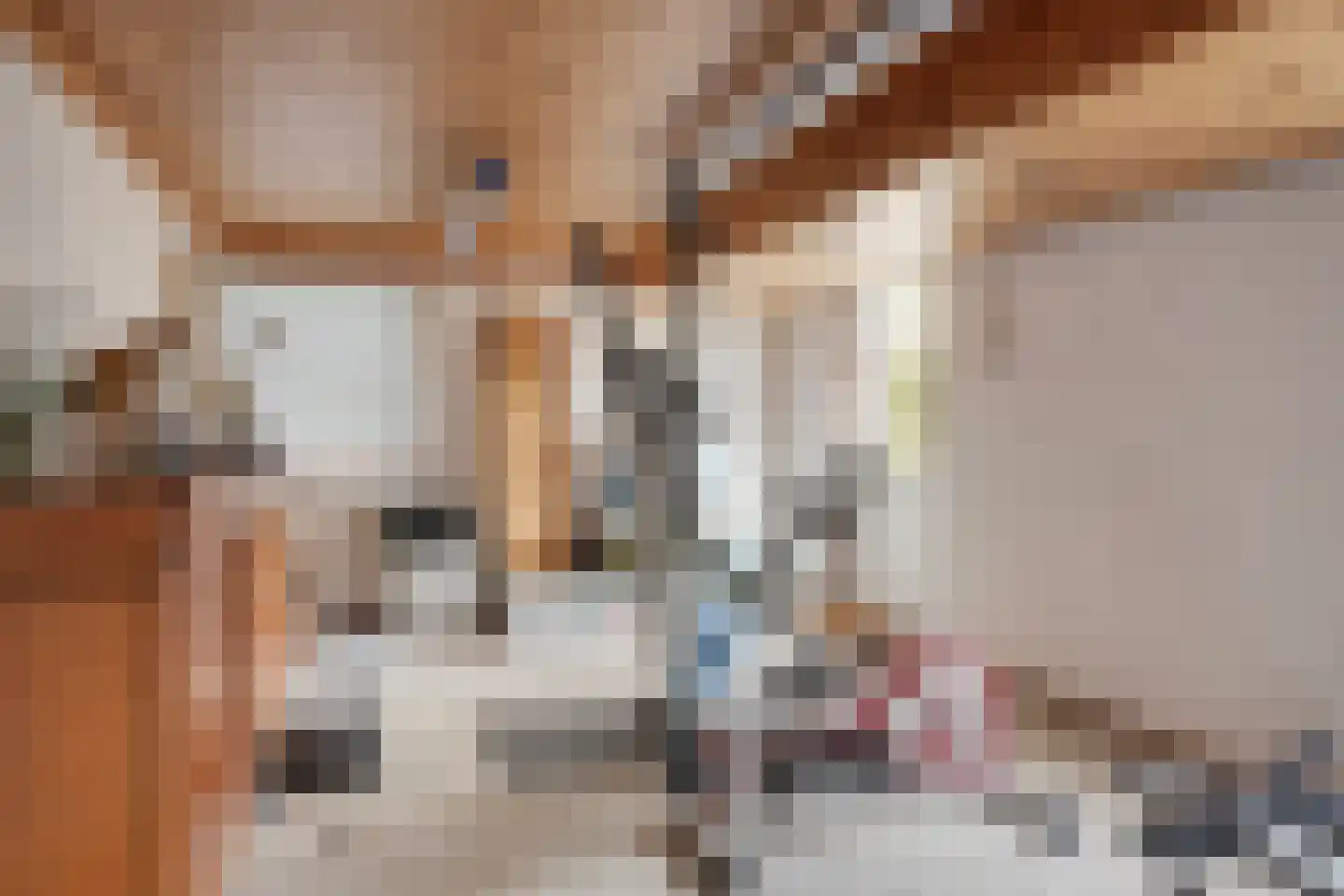 Rijzendeweg 26 Woensdrecht thumbnail 33