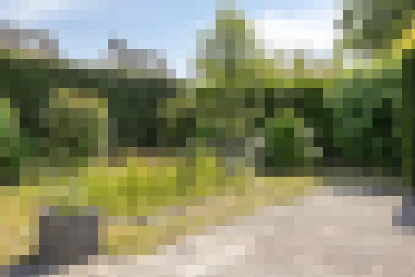 Rijzendeweg 26 Woensdrecht thumbnail 37