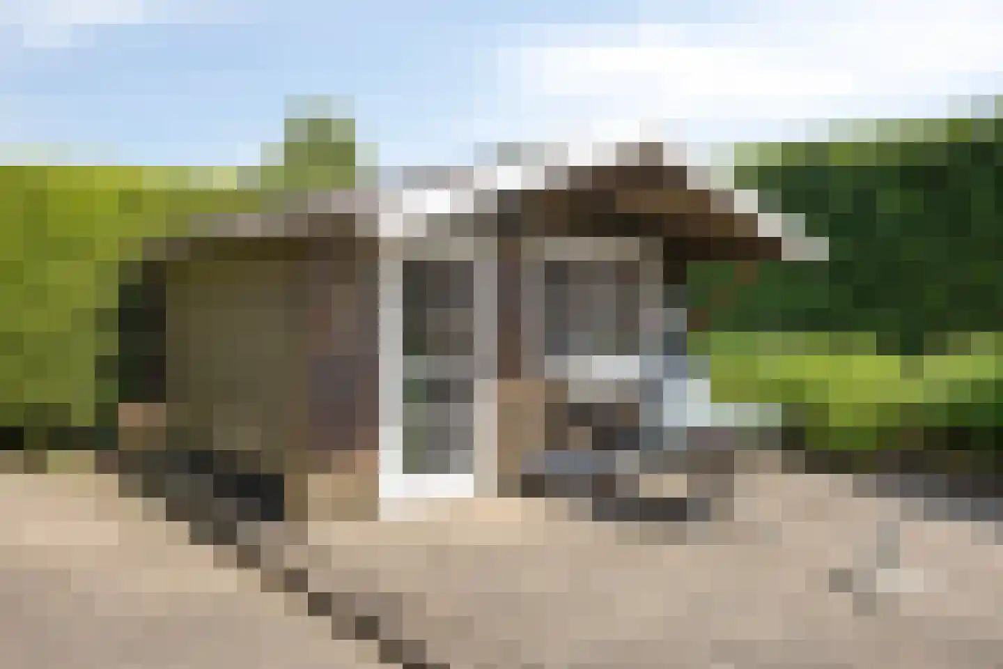 Rijzendeweg 26 Woensdrecht thumbnail 38