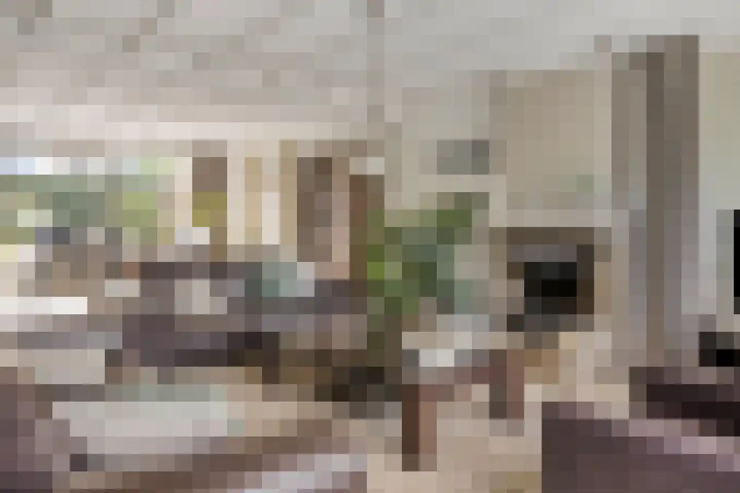 Rijzendeweg 26 Woensdrecht thumbnail 4