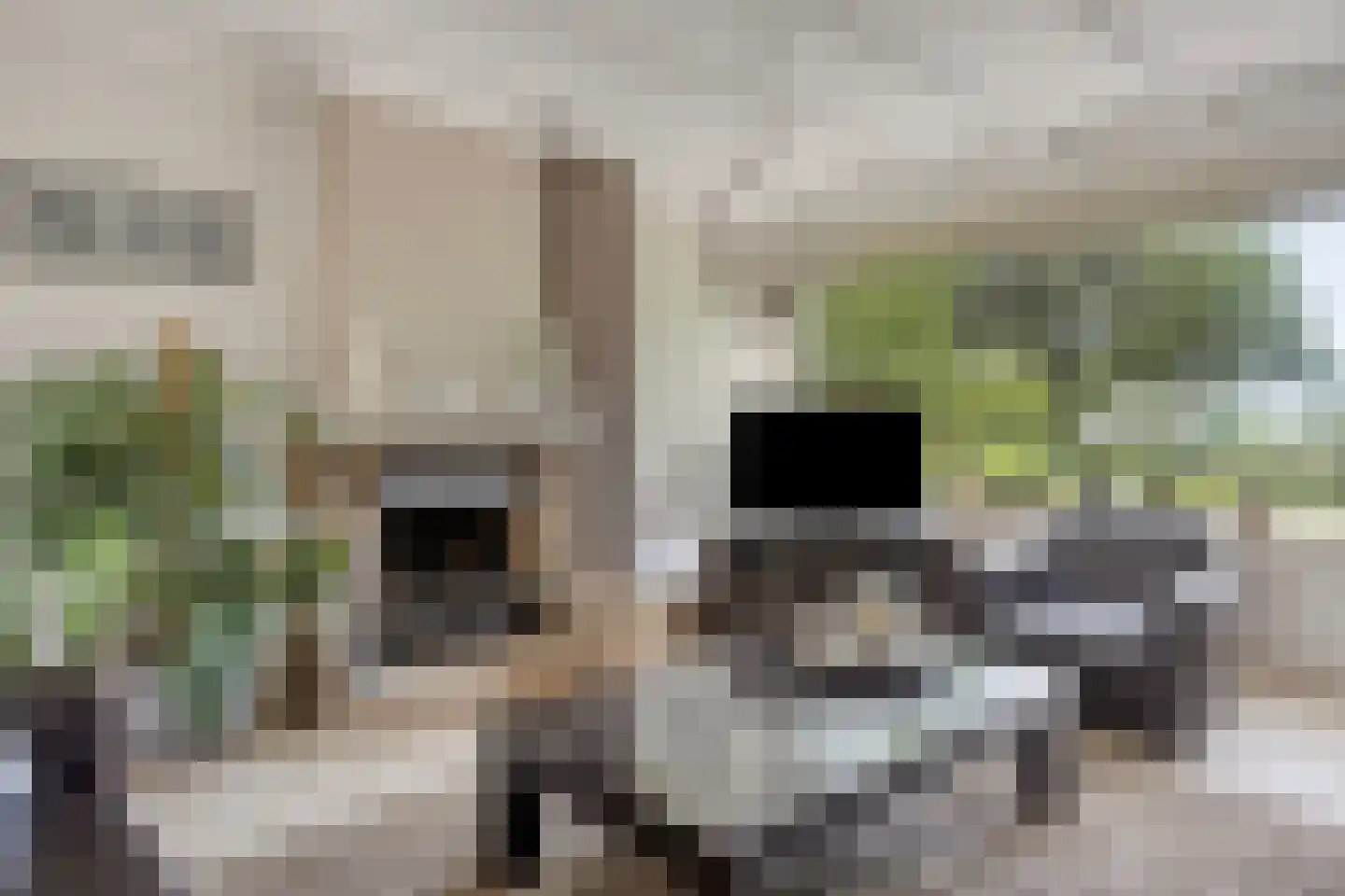 Rijzendeweg 26 Woensdrecht thumbnail 5