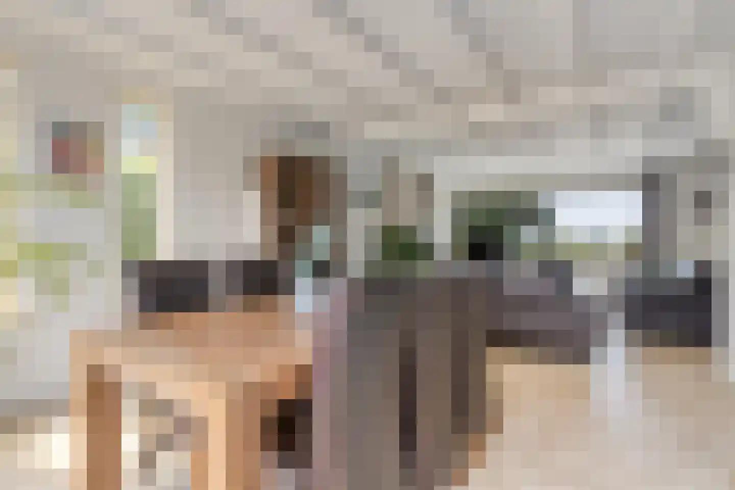 Rijzendeweg 26 Woensdrecht thumbnail 6