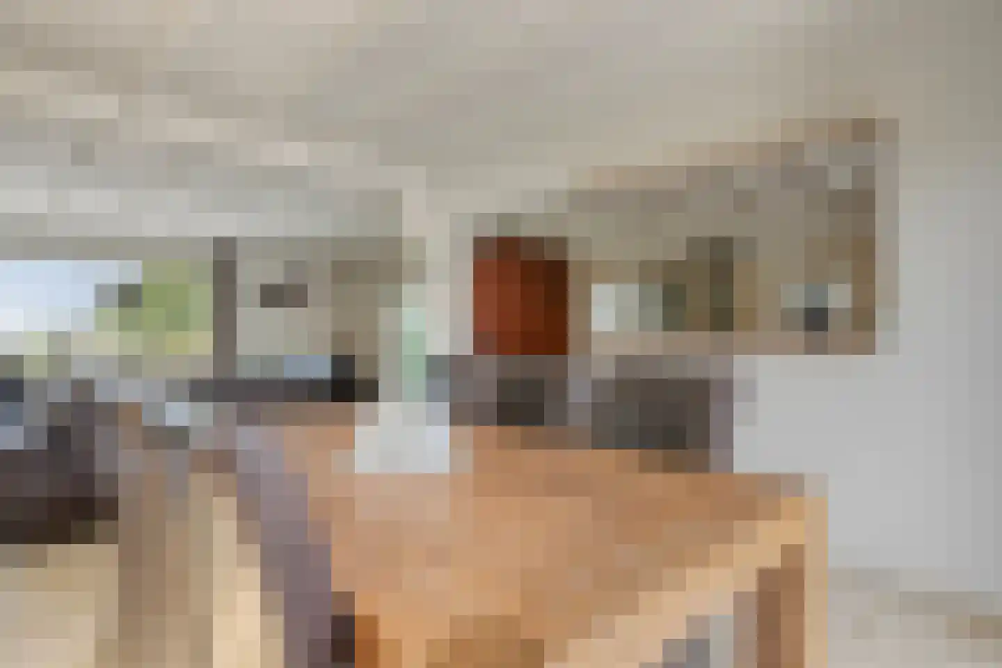 Rijzendeweg 26 Woensdrecht thumbnail 9