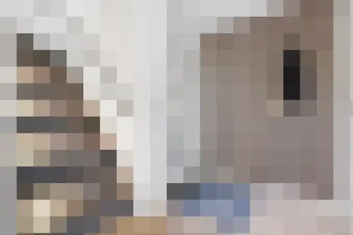 Rik Woutersweg 1 Eindhoven thumbnail 10