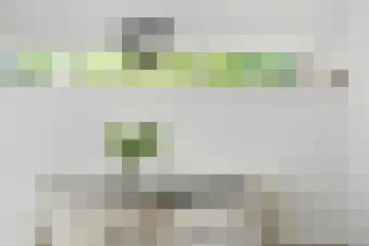 Rik Woutersweg 1 Eindhoven thumbnail 25