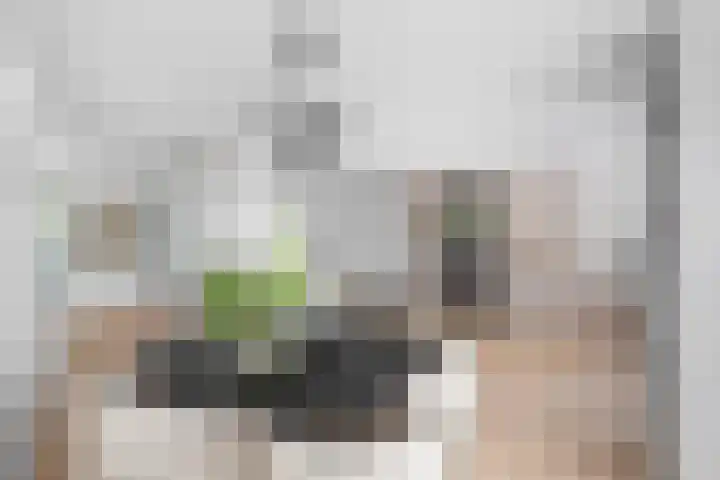 Rik Woutersweg 1 Eindhoven thumbnail 27