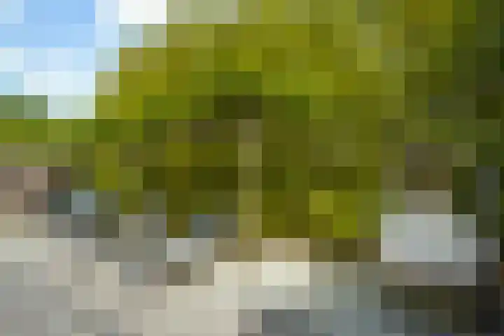 Rik Woutersweg 1 Eindhoven thumbnail 39