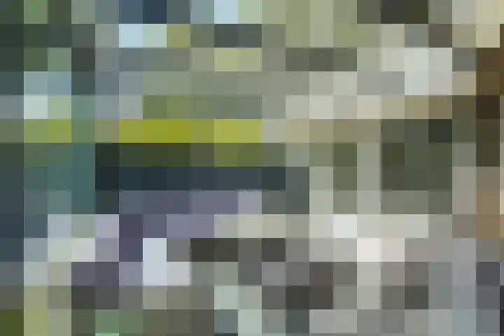 Rik Woutersweg 1 Eindhoven thumbnail 46