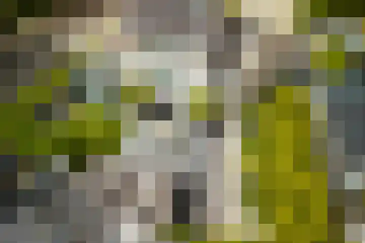 Rik Woutersweg 1 Eindhoven thumbnail 48